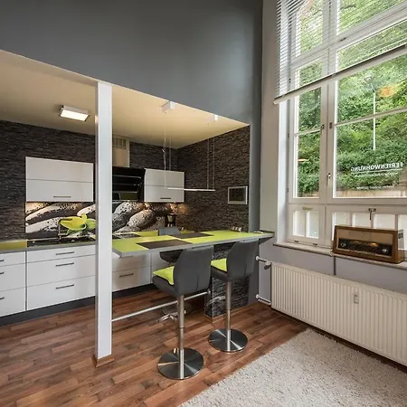 Loftwohnung Mit Sauna - Und Kultur In Erleben Und Geniessen Apartment Eisenach